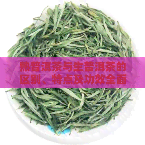 熟普洱茶与生普洱茶的区别、特点及功效全面解析，让您了解这两种茶叶的奥秘