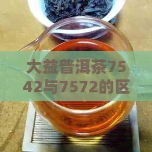 大益普洱茶7542与7572的区别：品味与年份的较量