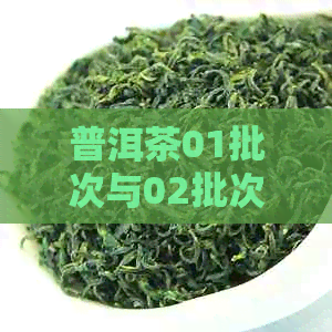 普洱茶01批次与02批次的全面对比：品质、产地、制作工艺等方面的详细解析