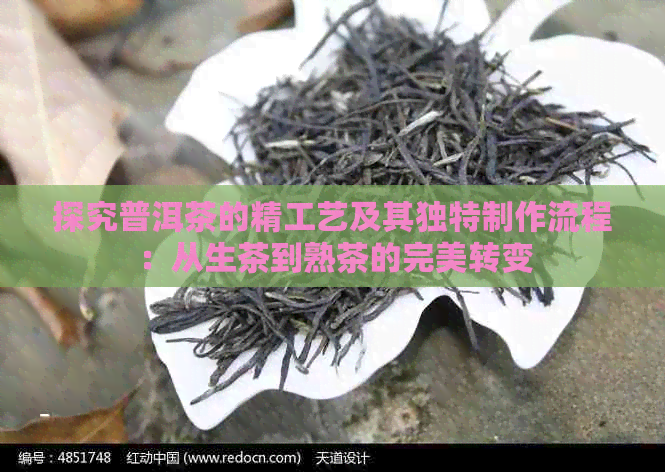 探究普洱茶的精工艺及其独特制作流程：从生茶到熟茶的完美转变