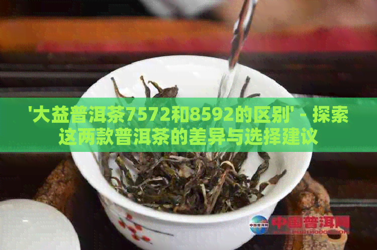 '大益普洱茶7572和8592的区别' - 探索这两款普洱茶的差异与选择建议