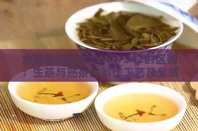 大益普洱茶7582和7542的区别：生茶与熟茶的制作工艺及品质对比