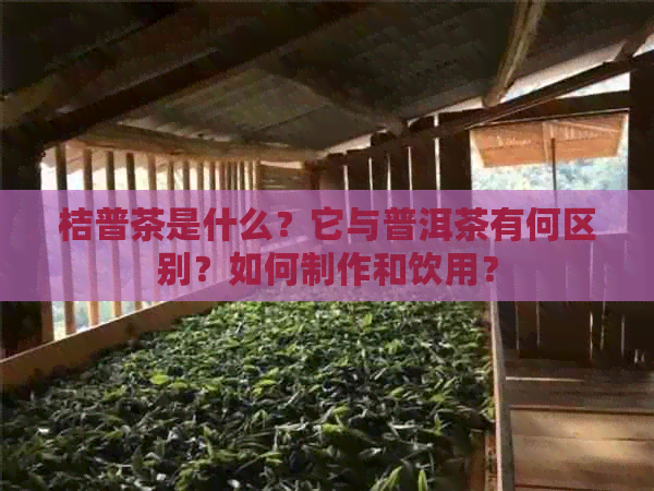 桔普茶是什么？它与普洱茶有何区别？如何制作和饮用？