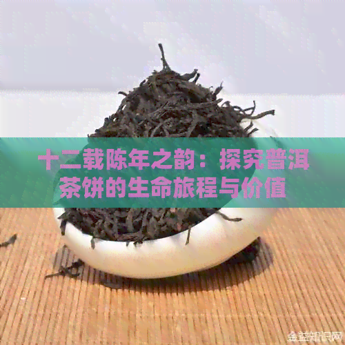 十二载陈年之韵：探究普洱茶饼的生命旅程与价值