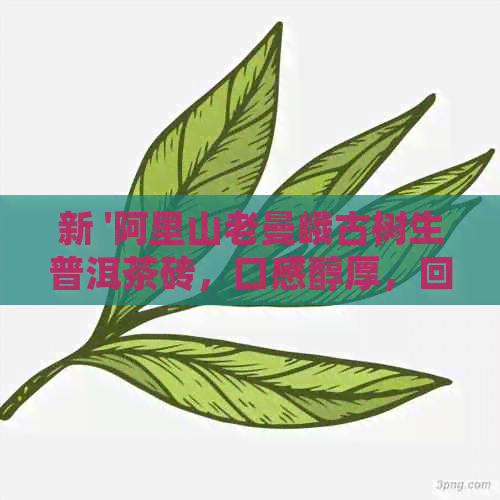 新 '阿里山老曼峨古树生普洱茶砖，口感醇厚，回味悠长'