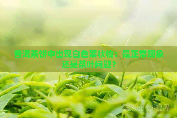 普洱茶饼中出现白色絮状物：是正常现象还是茶叶问题？