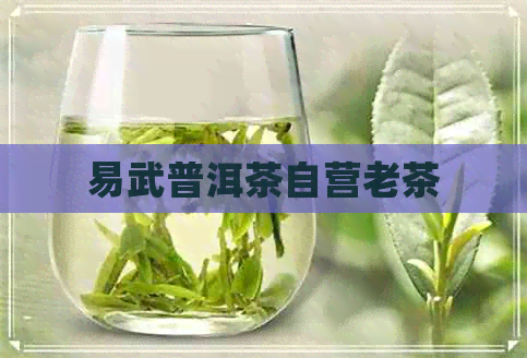 易武普洱茶自营老茶