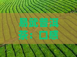 易武普洱茶：口感特点解析与品鉴技巧，全面了解这款茶叶的魅力与风味