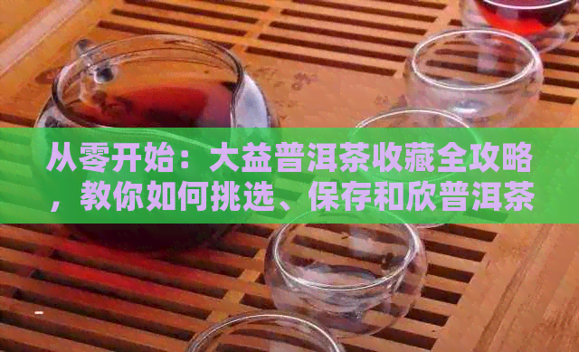 从零开始：大益普洱茶收藏全攻略，教你如何挑选、保存和欣普洱茶