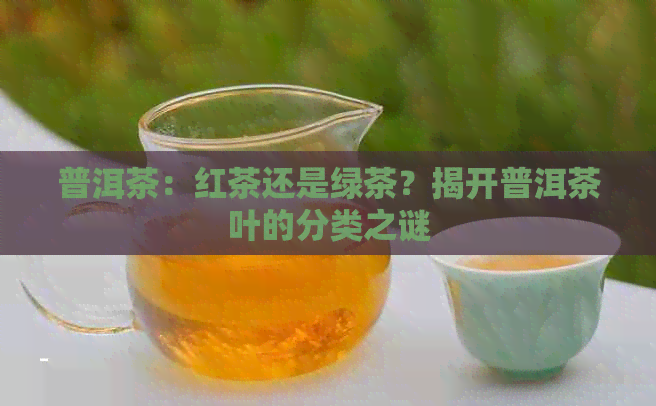 普洱茶：红茶还是绿茶？揭开普洱茶叶的分类之谜