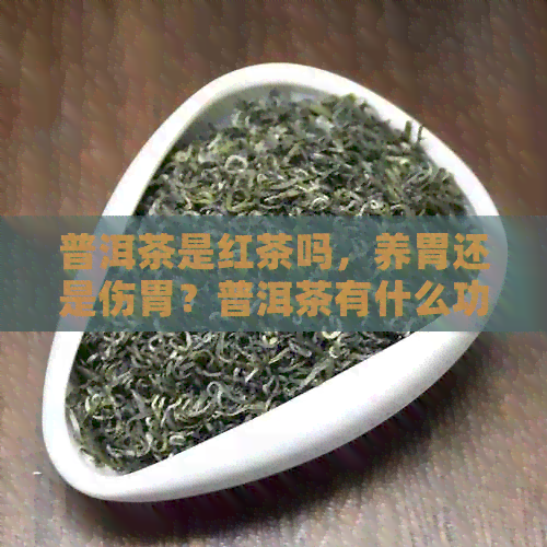 普洱茶是红茶吗，养胃还是伤胃？普洱茶有什么功效？