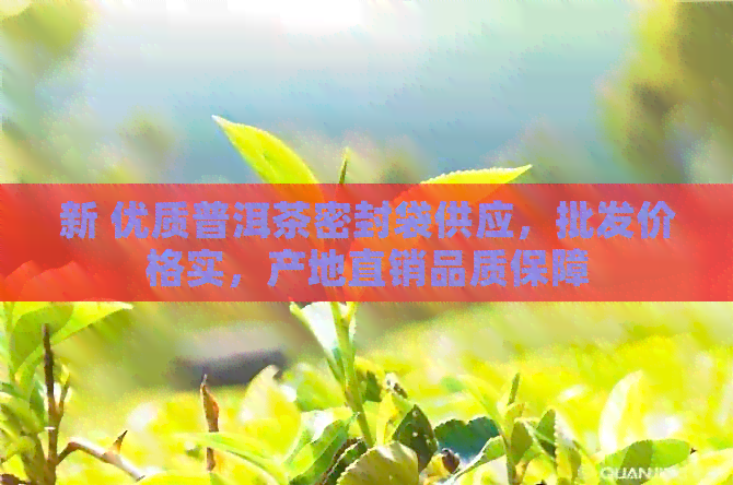 新 优质普洱茶密封袋供应，批发价格实，产地直销品质保障