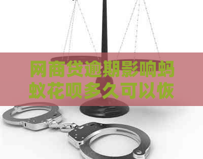 网商贷逾期影响蚂蚁花呗多久可以恢复：额度、、正常使用全解析