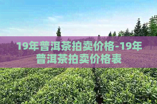 19年普洱茶拍卖价格-19年普洱茶拍卖价格表