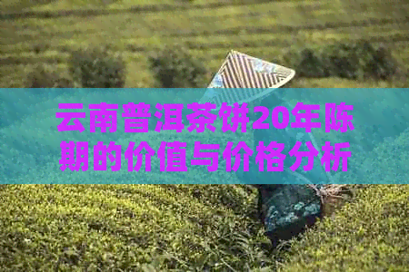 云南普洱茶饼20年陈期的价值与价格分析：详尽的价格表与格表