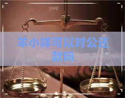 羊小咩可以对公还款吗