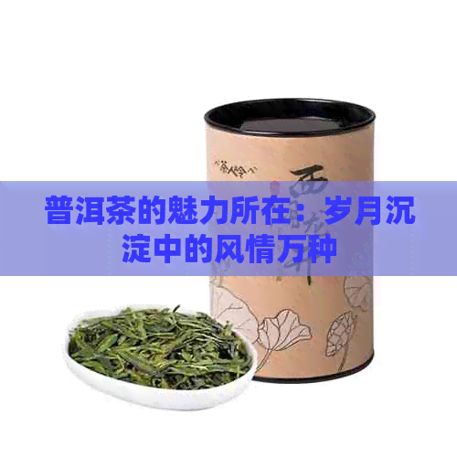 普洱茶的魅力所在：岁月沉淀中的风情万种