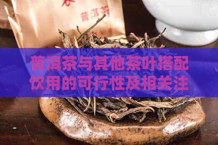 普洱茶与其他茶叶搭配饮用的可行性及相关注意事项