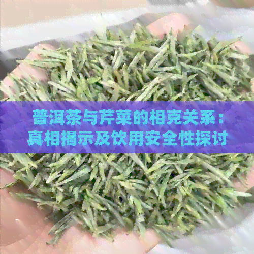 普洱茶与芹菜的相克关系：真相揭示及饮用安全性探讨