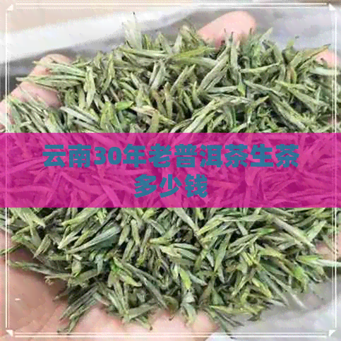 云南30年老普洱茶生茶多少钱