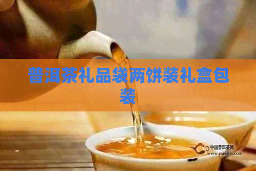 普洱茶礼品袋两饼装礼盒包装