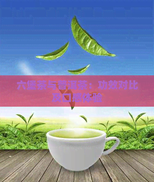 六堡茶与普洱茶：功效对比及口感体验