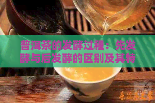 普洱茶的发酵过程：先发酵与后发酵的区别及其特点