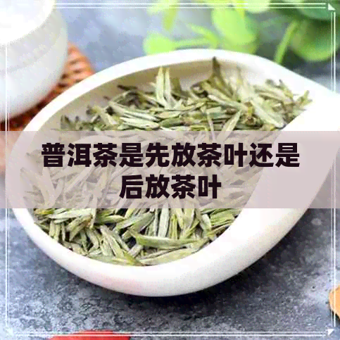 普洱茶是先放茶叶还是后放茶叶