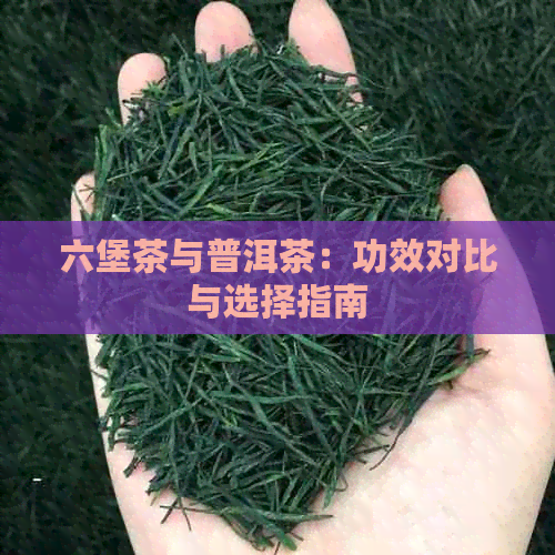 六堡茶与普洱茶：功效对比与选择指南