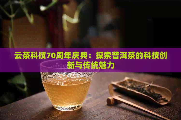 云茶科技70周年庆典：探索普洱茶的科技创新与传统魅力