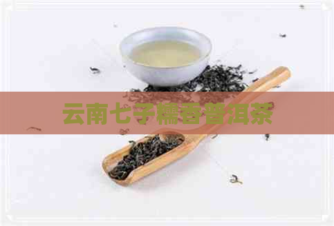 云南七子糯香普洱茶