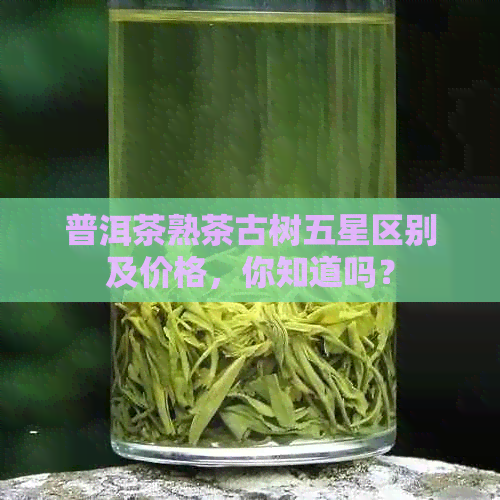 普洱茶熟茶古树五星区别及价格，你知道吗？