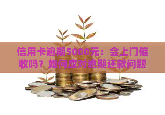 信用卡逾期5000元：会上门吗？如何应对逾期还款问题？