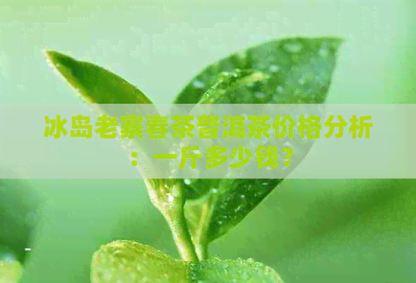 冰岛老寨春茶普洱茶价格分析：一斤多少钱？