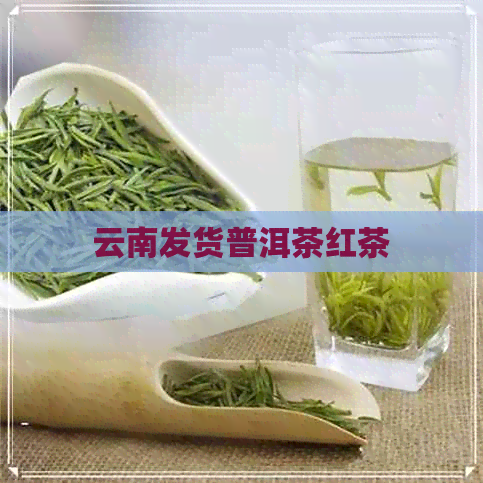 云南发货普洱茶红茶