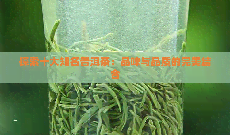 探索十大知名普洱茶：品味与品质的完美结合