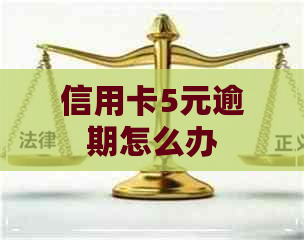 信用卡5元逾期怎么办