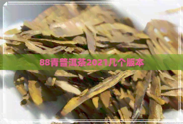 88青普洱茶2021几个版本