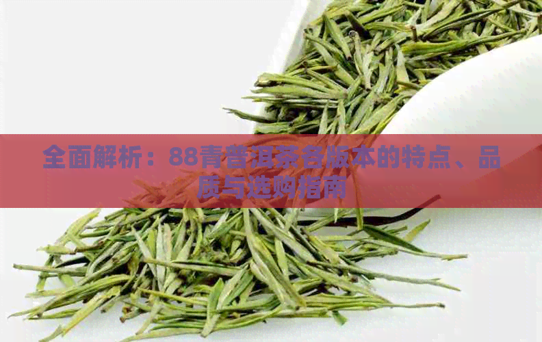 全面解析：88青普洱茶各版本的特点、品质与选购指南