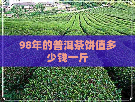 98年的普洱茶饼值多少钱一斤