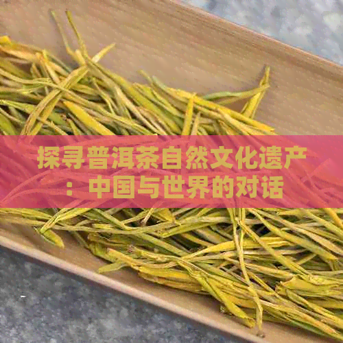 探寻普洱茶自然文化遗产：中国与世界的对话