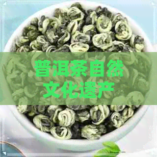 普洱茶自然文化遗产