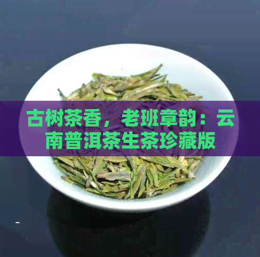 古树茶香，老班章韵：云南普洱茶生茶珍藏版