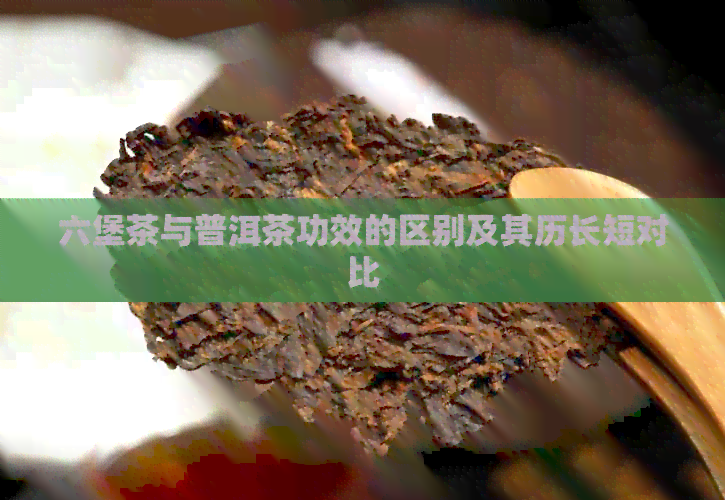 六堡茶与普洱茶功效的区别及其历长短对比