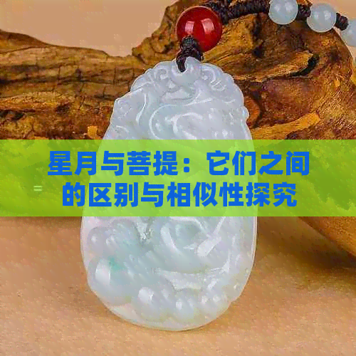 星月与菩提：它们之间的区别与相似性探究