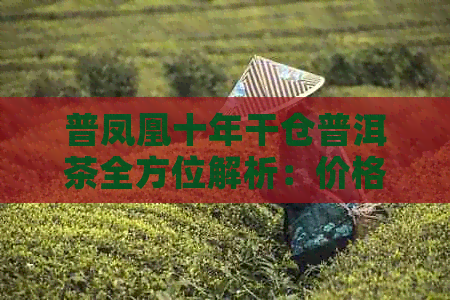 普凤凰十年干仓普洱茶全方位解析：价格、品质、收藏与投资，一次看透