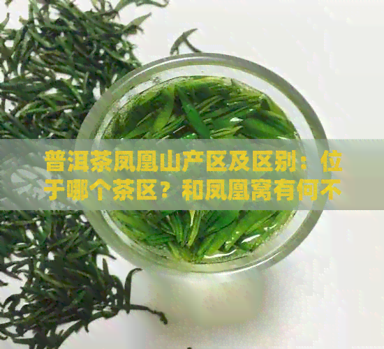 普洱茶凤凰山产区及区别：位于哪个茶区？和凤凰窝有何不同？