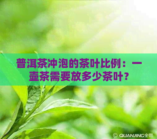 普洱茶冲泡的茶叶比例：一壶茶需要放多少茶叶？