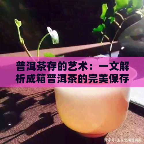 普洱茶存的艺术：一文解析成箱普洱茶的完美保存之道