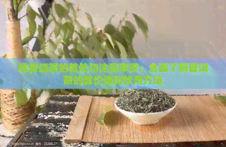 喝普洱茶的益处与注意事项：全面了解普洱茶的健价值和饮用方法